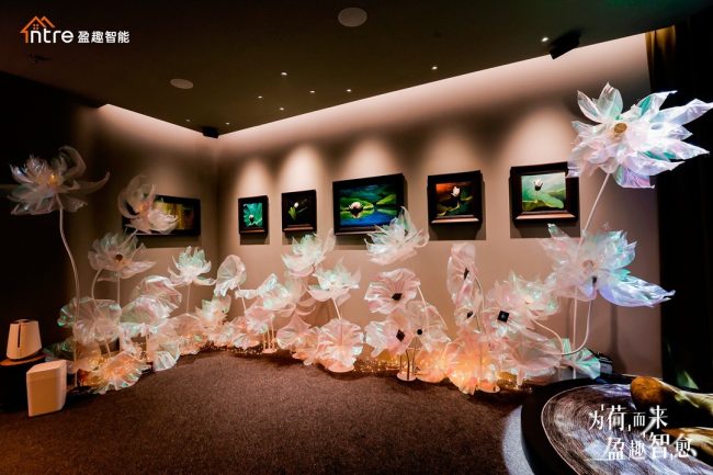 1733818281-9d8503101f01186 1733818281-9d8503101f01186