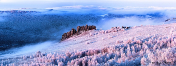 673d515745b41 673d515745b41