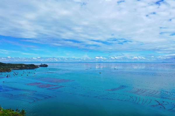 1741920269318637.png 图片8.png