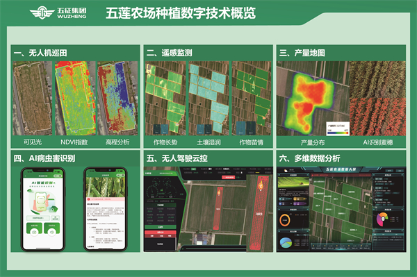 1750407140214402.jpg 3.jpg