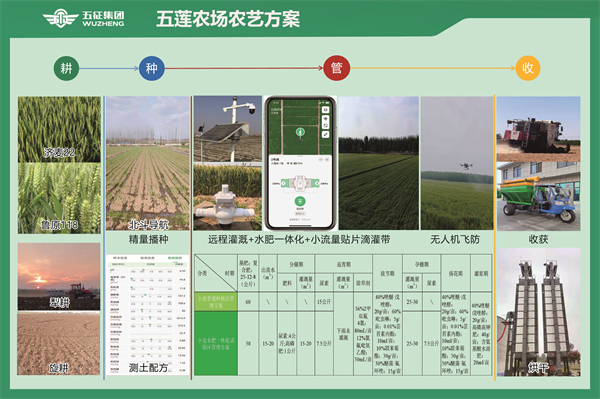 1750407138215407.jpg 2.jpg