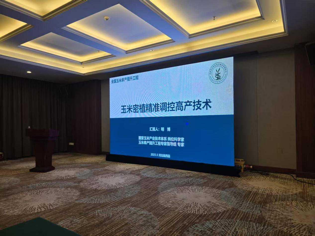 乡合：90后种地小白种植创业底气何在？“科技+服务”打造单产提升标杆