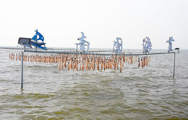 晒出海洋经济新名片：江洪鱼干产业数字化新生