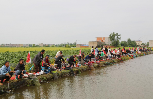 颍上县2025年农民丰收节钓鱼比赛圆满落幕