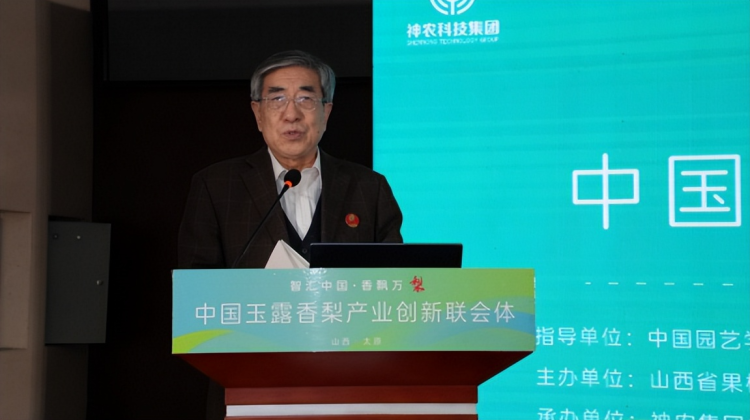 1760799171-4ede5b220fb4fef