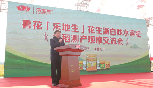 1761837704-13d63101352f3ba