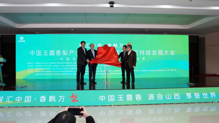 1760799175-d0c86b502ad9f37