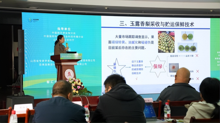 1760799197-d0cd874dc61dcff