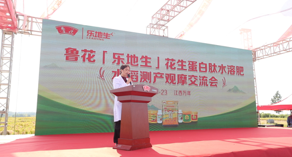 1761837700-bec80c93083546a