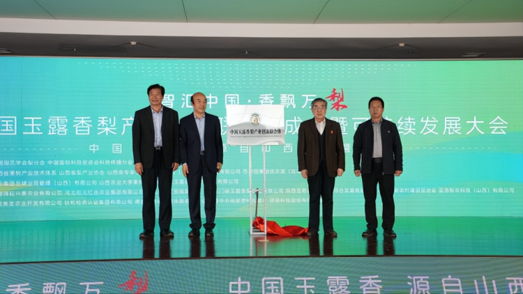 1760799171-c01598ce86d0eef