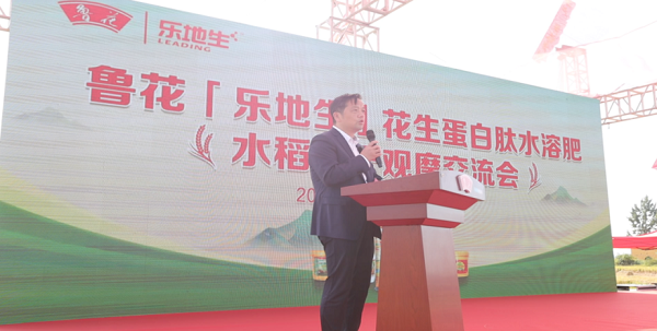 1761837705-d690ddb8ca135a8