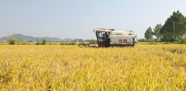 1761837703-5825236f210f1ef