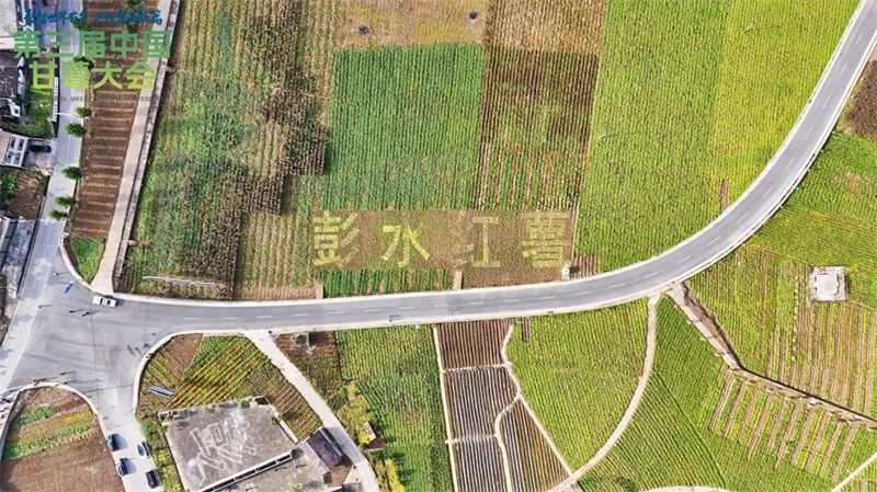 第三届中国甘薯大会在重庆彭水圆满落幕 共绘“世界苗乡·养心彭水”乡村振兴新图景