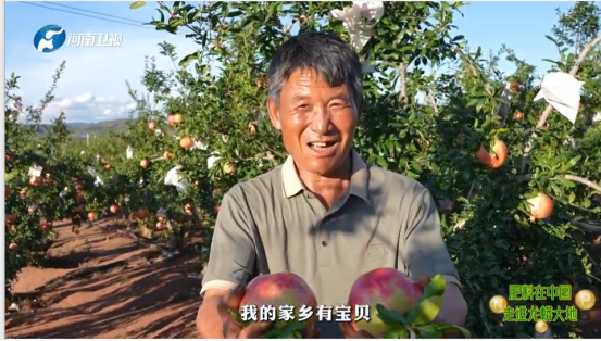 1763988130-226d49d8a234bb6