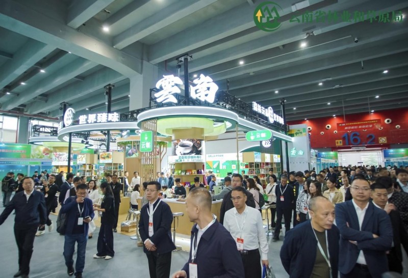 云南“森林云品”赴穗参展，拓市场·树品牌