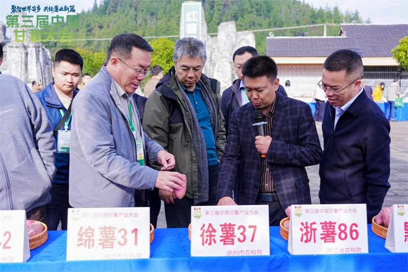 第三届中国甘薯大会在重庆彭水圆满落幕 共绘“世界苗乡·养心彭水”乡村振兴新图景