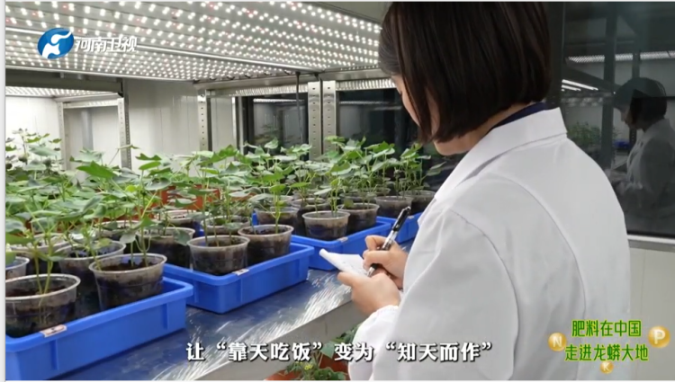 1763988201-acbdec8fc2f9d71