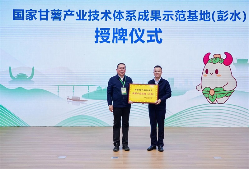 第三届中国甘薯大会在重庆彭水圆满落幕 共绘“世界苗乡·养心彭水”乡村振兴新图景