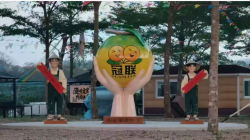 访广东台山冠联农业公司总经理邝冠荣 ：树上的燕窝 一个农民的十年生态长征