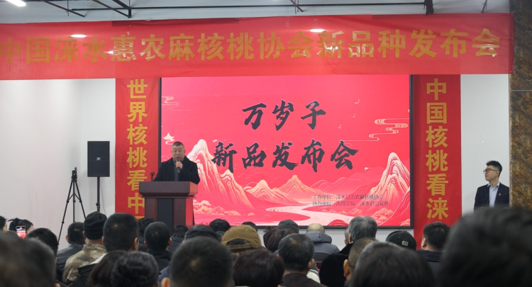 涞水麻核桃新品种“万岁子”发布会圆满落幕，引领文玩新风尚