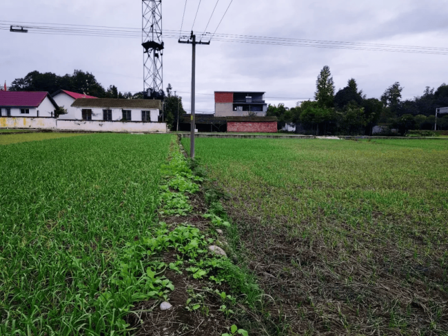 5f166ea5d783420398e0d962c5544fa6