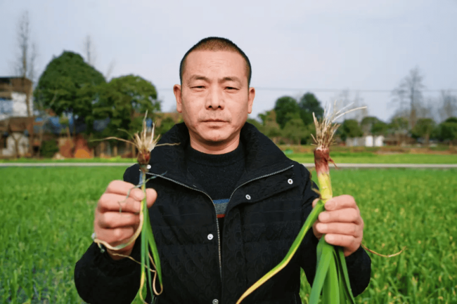 5ecc461a358b4f8ab0108a891f2b4418