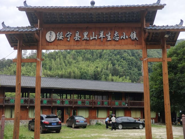 深度探访：绥宁高登山富硒黑山羊产业引领乡村振兴新路径
